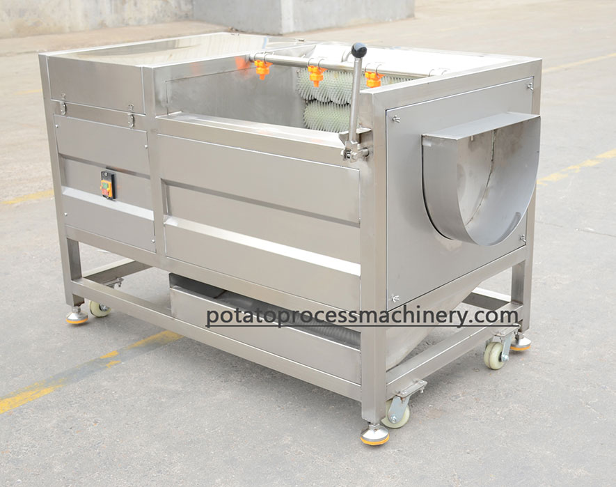 Automatic potato washing and peeling machine