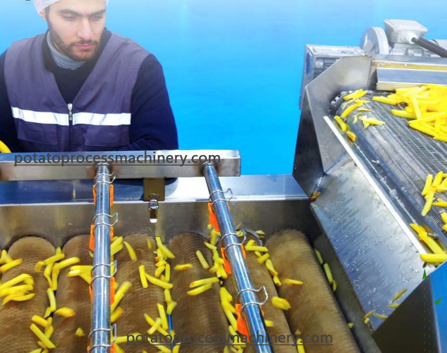 fully Automatic french fries production line in turkey