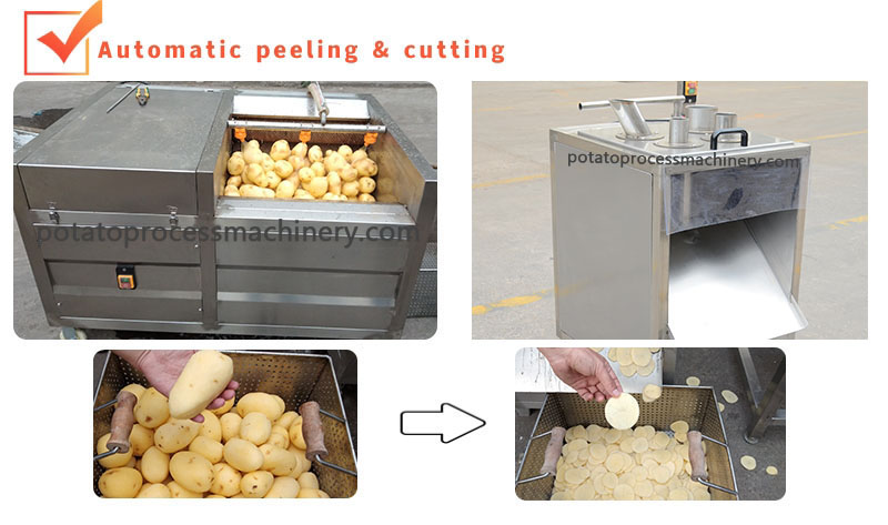 automatic potato peeling and chips cutting