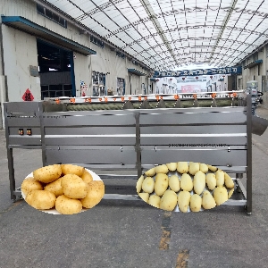 automatic potato washing and peeling machine