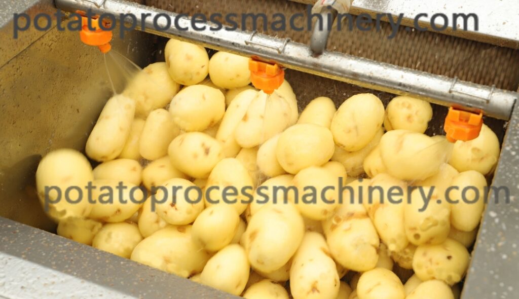 potato in peeling process