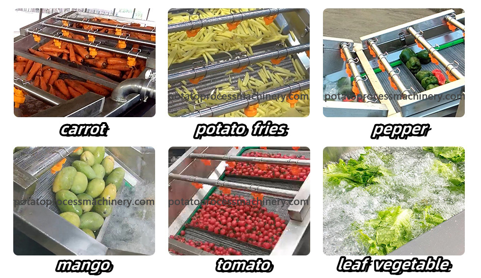 cleaning different fruits and vegetables, such as potato,carrot, tomato, leaf, ginger,mango